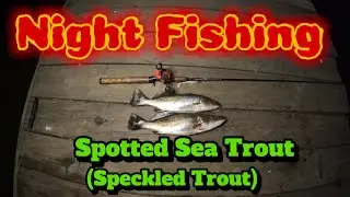 Night Fishing Speckled Trout (Spotted Sea Trout)
