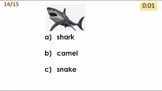 Wild Animals Quiz