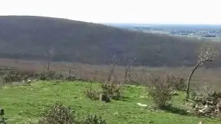 Por el robledal de Riaza