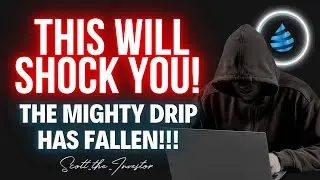 Shocking News About Forex Shark, Drip, and Animal Farm