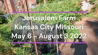 Jerusalem Farm &ndash; Kansas City, MO &ndash; May 5 to August 5, 2022
