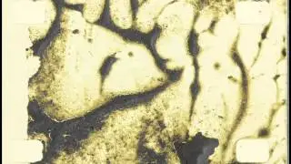 Reach Trailer