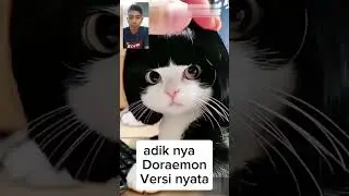 DORAMI ADIK NYA DORAEMON