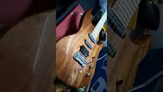 Panico Guitars M Series