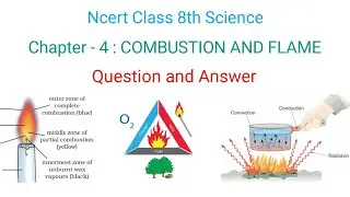 Ncert class 8th Science chapter 4 question answer | combustion and flame|ncert solutions |curiosity 