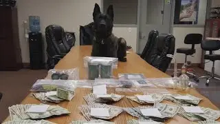 LSD ARREST