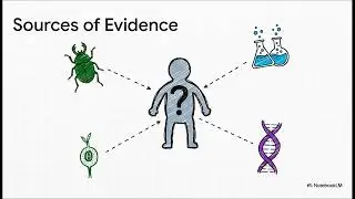 The Taxonomy and Systematics of Biological Life