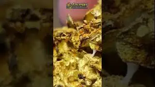 7 oz of gold from North Idaho