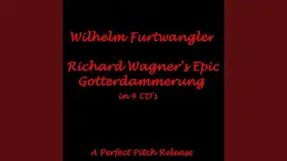 Gotterdammerung Act II: Heil Dir Gunther