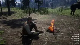 Playing Red Dead Redemption 2 Story.