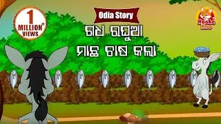 Gadha Raghua Machha Chasa Kala -  ଗଧ ରଘୁଆ ମାଛ ଚାଷ କଲା | Odia Moral Story  |  Huke Hu TV
