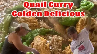 Quail Pugo Curry Golden Delicious Dish #foodie #food #recipe #pinoyfood