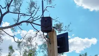 HERD360 Solar Power Pack & Cellular Trail Camera Review