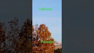 day at CA USA