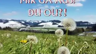Schonig-Chiubi 2017 - Ufbou