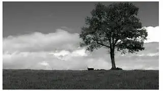 Philip Parfitt and Friends - New Timber Hill