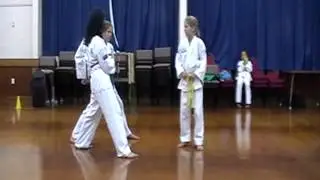 Belt Exam  2013 - Term 1 - J Fell -Destruction