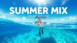 Alan Walker, David Guetta, Sia, Ava Max, Martin Garrix & Kygo - Summer Mix 2025 | Tropical Seasons