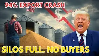 US Farm Exports COLLAPSE by 94% | Trump&rsquo;s Tariffs Trigger Agriculture Meltdown