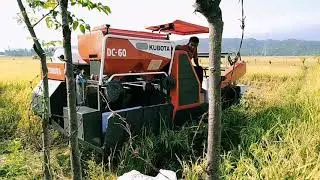 Kubota dc60 modif sama dg  93