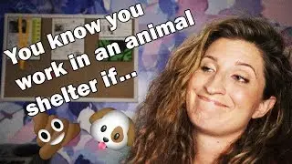 You know you work in an animal shelter if...
