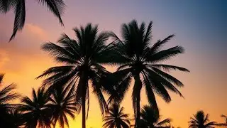 TAKE ME TO PARADISE_ISLAND VIBES_2025🇵🇬🎼🏝️☑️ MUSIC