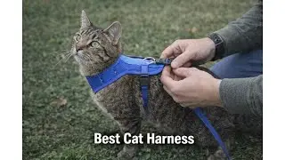 🐱 Halypet Cat Harness and Leash Set Review &ndash; Worth It Control Before You Buy? 🦮