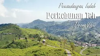 Pemandangan Alam Perkebunan Teh Kemuning Tawangmangu Dari Drone