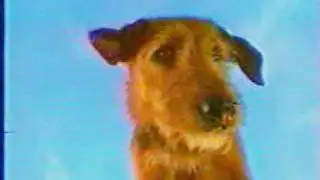Sega Game Gear vs Game Boy Commercial
