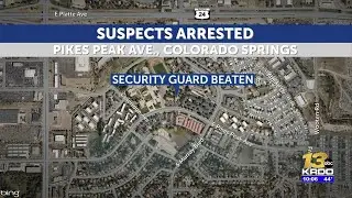 Alleged burglars assault security guard with bats, tools