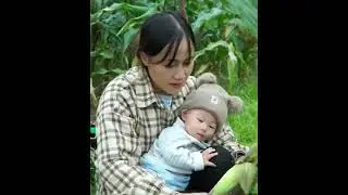 Single Mom Survives on 2 Corns to Build a Fence | Country Life Challenges