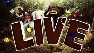 Live GATEMC  ON  DEBUTE