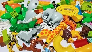 Satisfying Building Blocks Marble Run ASMR #350 House and Wild Animals live 1