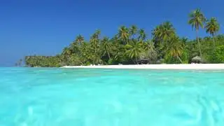 Floating in Warm Caribbean Waters 🌴 Gentle Ripples & Underwater Calm |-Deep Relaxation | Jamaica