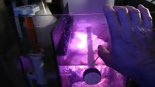 Conclusive study of nutrient control in a saltwater aquarium