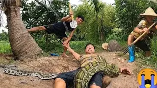 Serpent attaque en direct ! Un homme mordu, la sc&egrave;ne choque tout le monde ! #Choc #Serpent