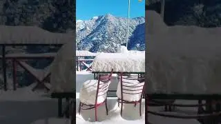 Best Resort in Dhanaulti, Uttarakhand | Apple Orchard Resort