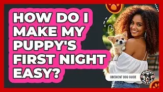How Do I Make My Puppy's First Night Easy? - Obedient Dog Guide