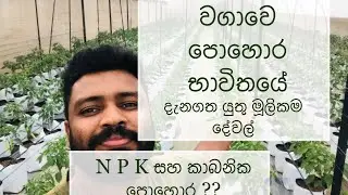ලාභය තීරණය කරන පොහොර සාස්තරේ | ශාක පෝෂක | Plant Nutrition | Organic and Chemical Fertilizer