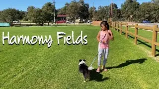 Afternoon walk with Zeus | Harmony Fields Maddington | Miguela Family Vlog