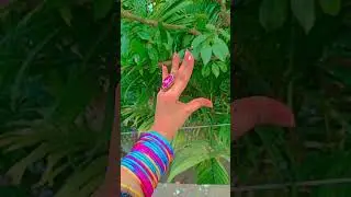 #handh #mehndi #handmehnd #musicgenre #art #cneᴅɪᴛᴢ #musicsong