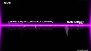 Kid Massive feat. Yota - Just Want You (Little Junkies & Igor Sonik Mix)