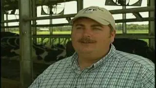 Milking Process: Steady Supply of Fresh Milk