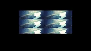 How to Create Image slideshow using HTML & CSS | image slider | HTML CSS Slider