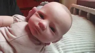 MOBY IS READY TO GO HOME - REBORN DOLLS FOR ADULT COLLECTORS