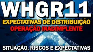 WHGR11, EXPECTATIVAS DE PAGAMENTOS, INADIMPL&Ecirc;NCIA E IMPACTOS
