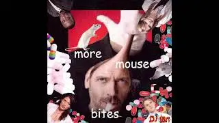 DJ fart - MORE MOUSE BITES