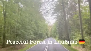 Timepalse Driving: Peaceful Forest in Lau&szlig;nitz, Germany (May 2024)