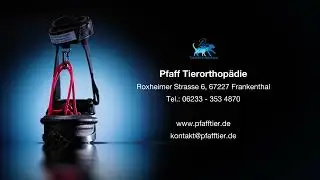 PTO- OrthoBoot  Pfoten-Hebeorthese - Therapieorthese
