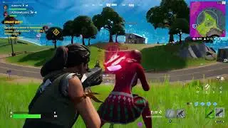 Fortnite - Victory Royale